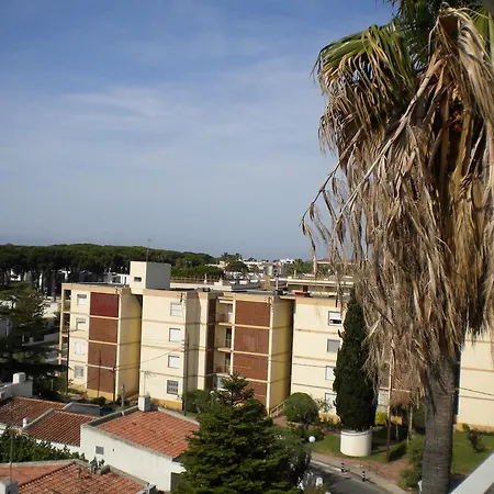 Apartment Los Delfines